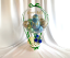 Green Theme - Mirror Blue, Mirror Green, Champagne