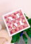 Transition Rose Frame